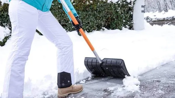 Jorge Bocanegra Logo