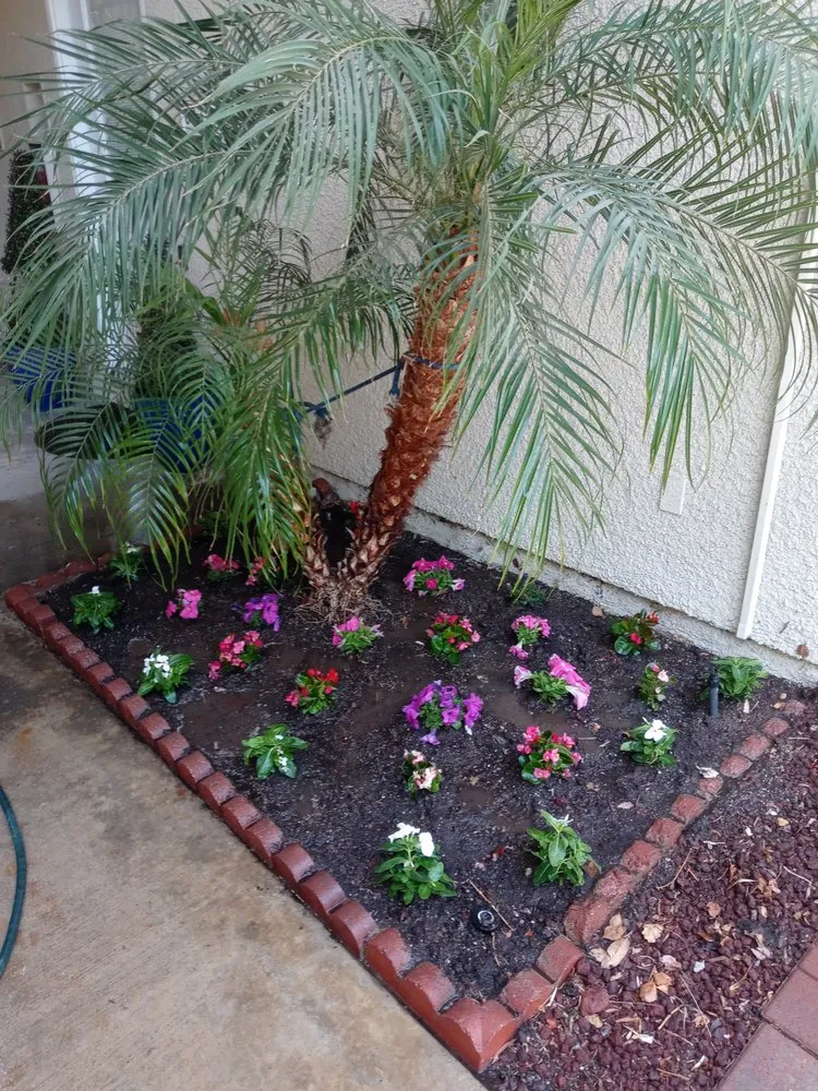Professional landscape installation in Tustin, CA by Jorge Duarte Landscaping