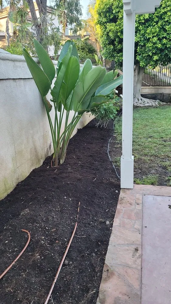 Top-rated yard maintenance experts serving Tustin, CA - Jorge Duarte Landscaping