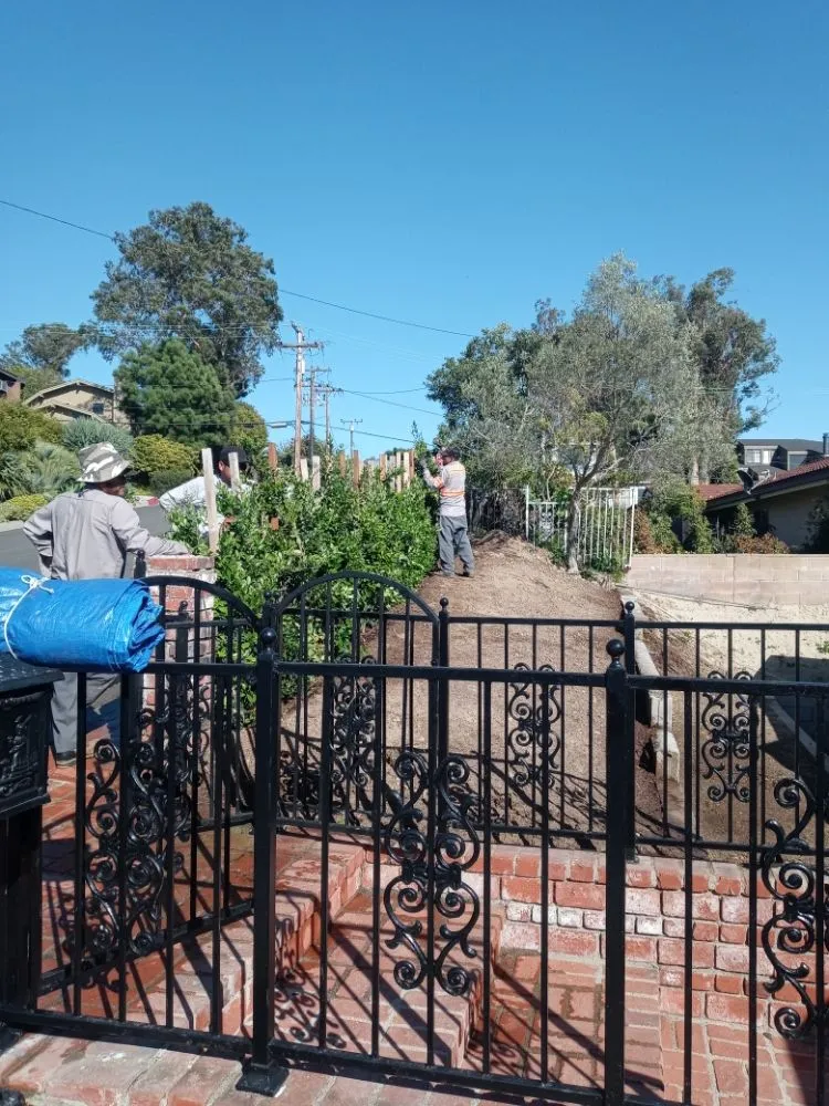 Local landscaping services in Tustin, CA by Jorge Duarte Landscaping