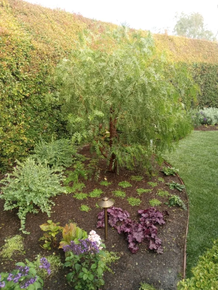 Affordable yard maintenance with custom design across Tustin, CA - Jorge Duarte Landscaping