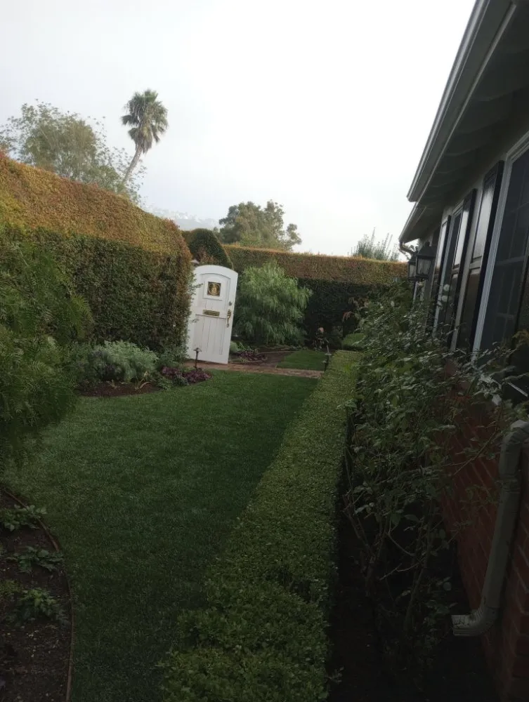 Local landscape design in Tustin, CA by Jorge Duarte Landscaping