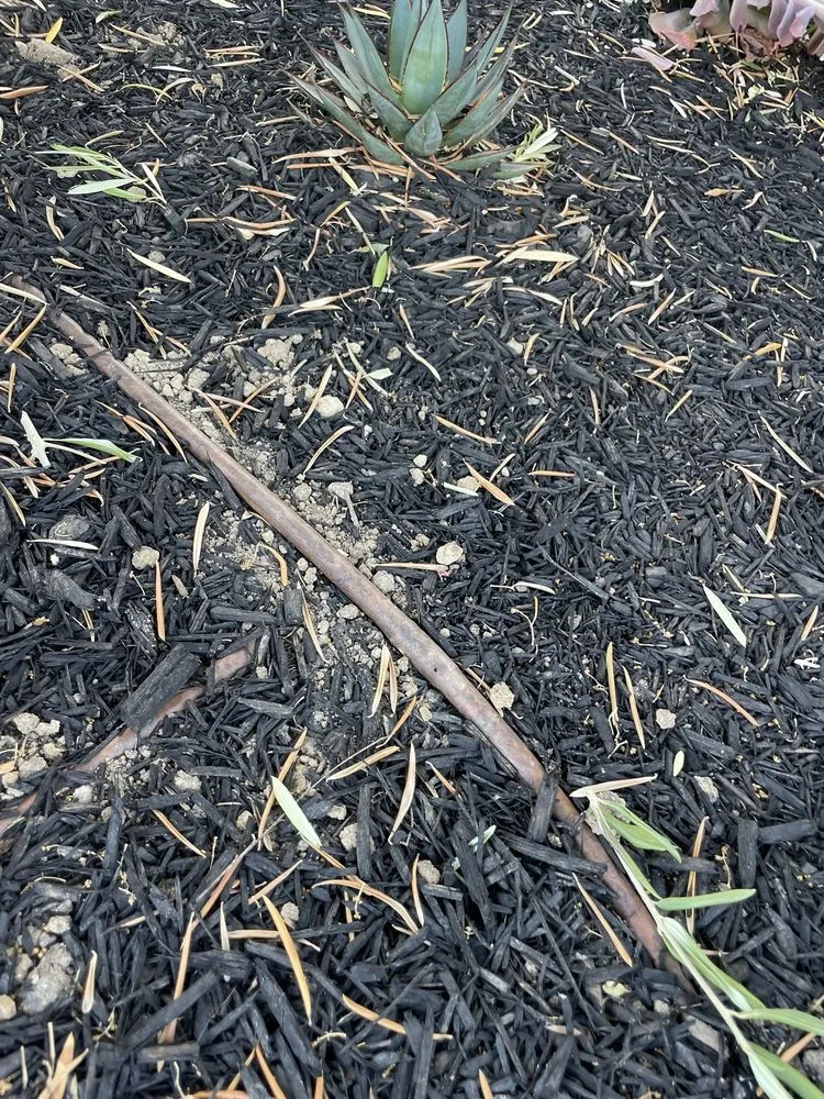 Trusted landscape installation in Tustin, CA by Jorge Duarte Landscaping