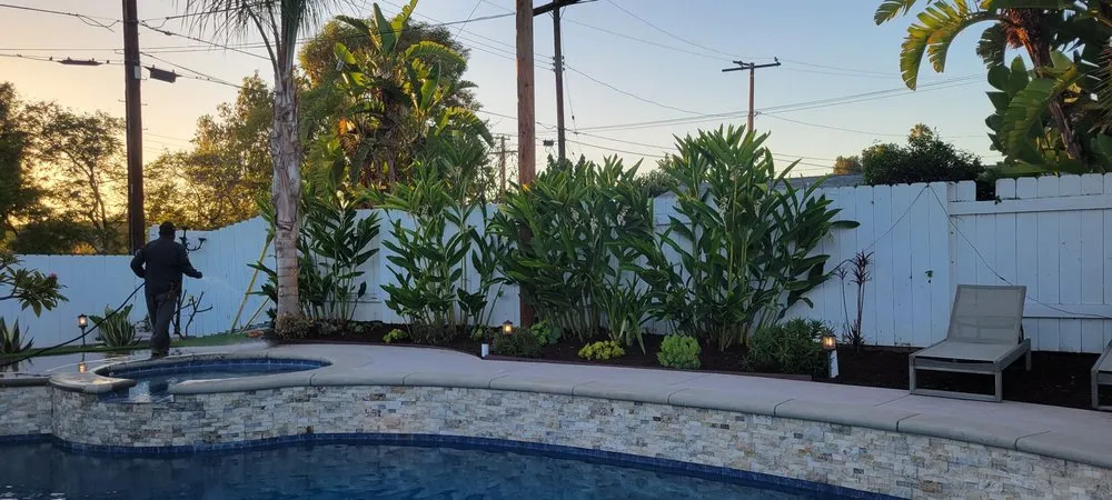 Expert yard cleanup service experts serving Tustin, CA - Jorge Duarte Landscaping