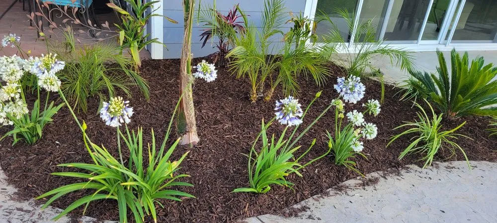 Expert outdoor landscaping for beautiful yards across Tustin, CA - Jorge Duarte Landscaping