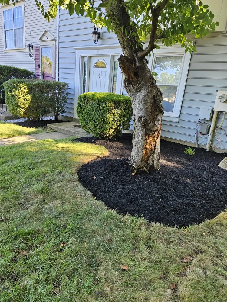 Local landscaping services for residential properties across Maryland City, MD - Jorge Laguna Landscaping