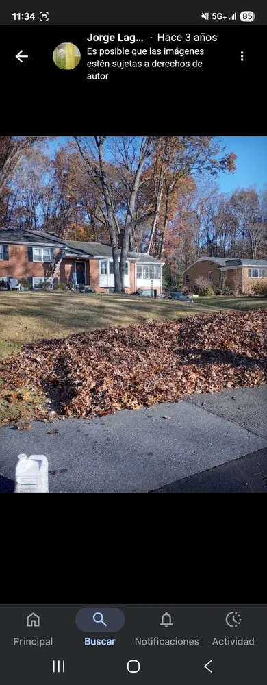 Top-rated landscaping services in Maryland City, MD - Jorge Laguna Landscaping