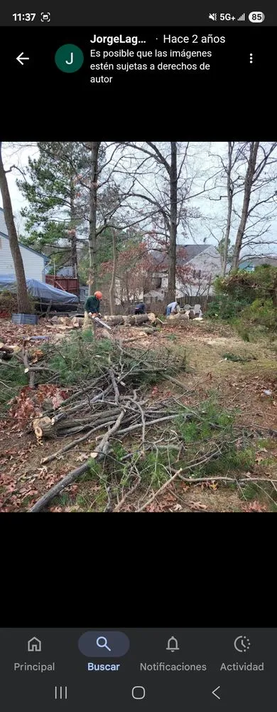 Custom landscape installation for residential properties across Maryland City, MD - Jorge Laguna Landscaping