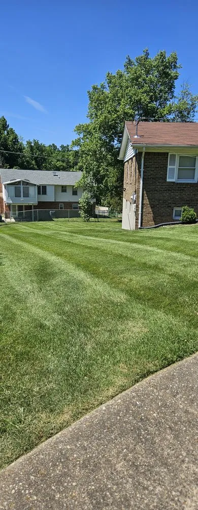 Top-rated outdoor landscaping experts serving Maryland City, MD - Jorge Laguna Landscaping