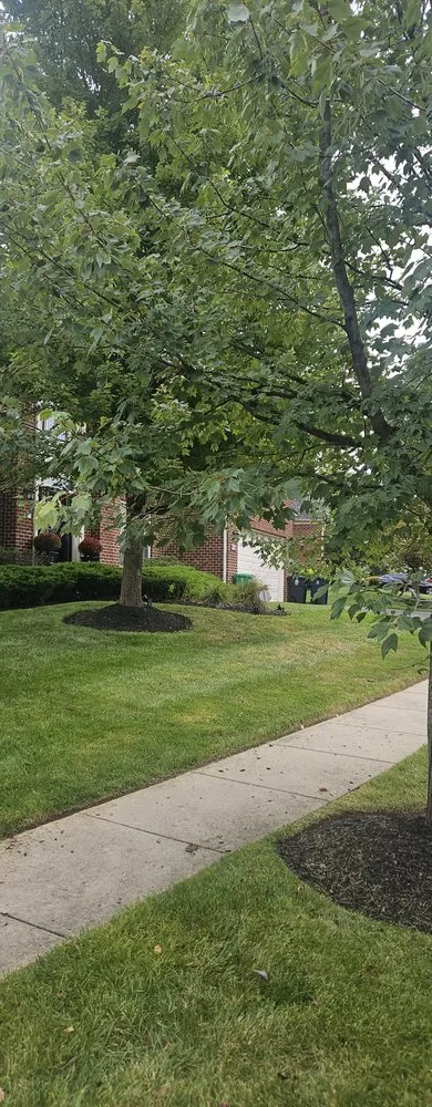 Reliable landscape design experts serving Maryland City, MD - Jorge Laguna Landscaping