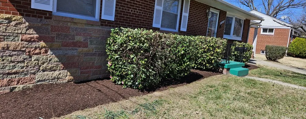 Professional yard maintenance in Maryland City, MD - Jorge Laguna Landscaping