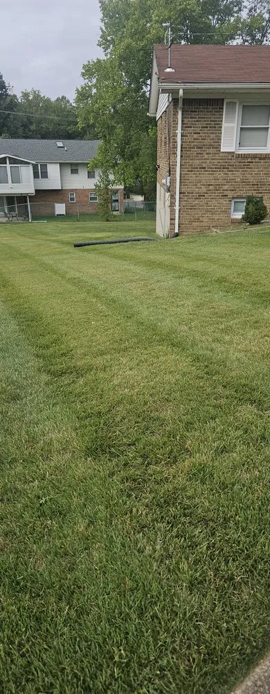 Professional lawn mowing service for year-round maintenance across Maryland City, MD - Jorge Laguna Landscaping