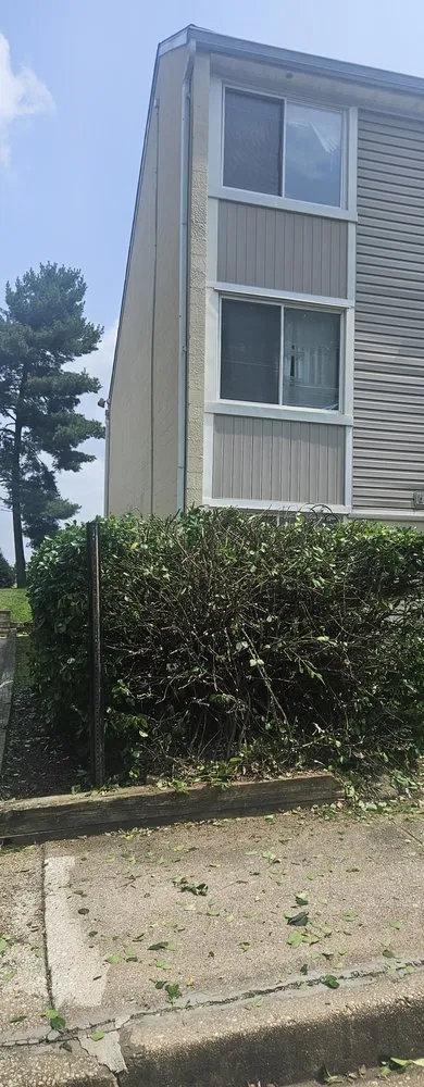 Top-rated yard maintenance experts serving Maryland City, MD - Jorge Laguna Landscaping