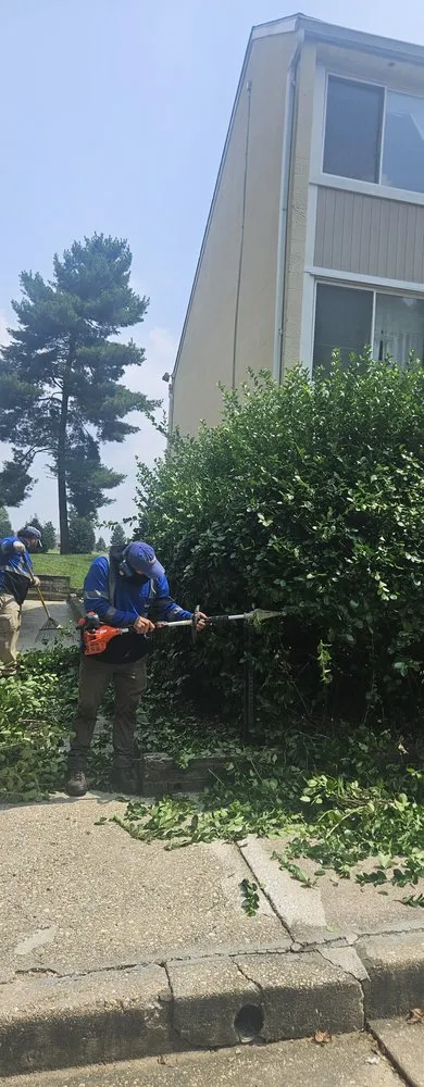 Professional lawn mowing service in Maryland City, MD by Jorge Laguna Landscaping