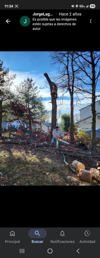 Custom landscape installation for beautiful yards in Maryland City, MD by Jorge Laguna Landscaping