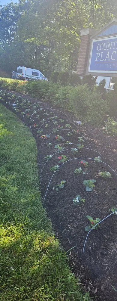 Expert landscape installation for year-round maintenance in Maryland City, MD by Jorge Laguna Landscaping