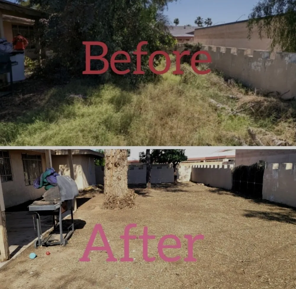 Custom lawn mowing service in Tucson, AZ - Jorge Landscaping & Hauling Services