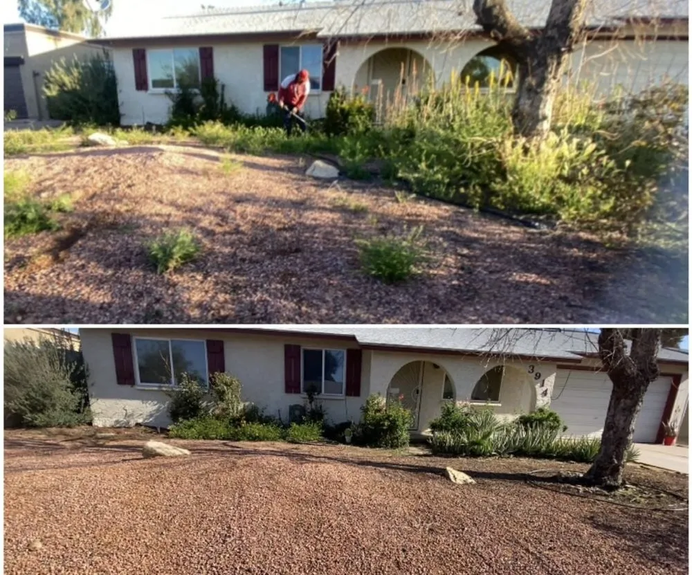 Trusted yard maintenance for year-round maintenance across Tucson, AZ - Jorge Landscaping & Hauling Services