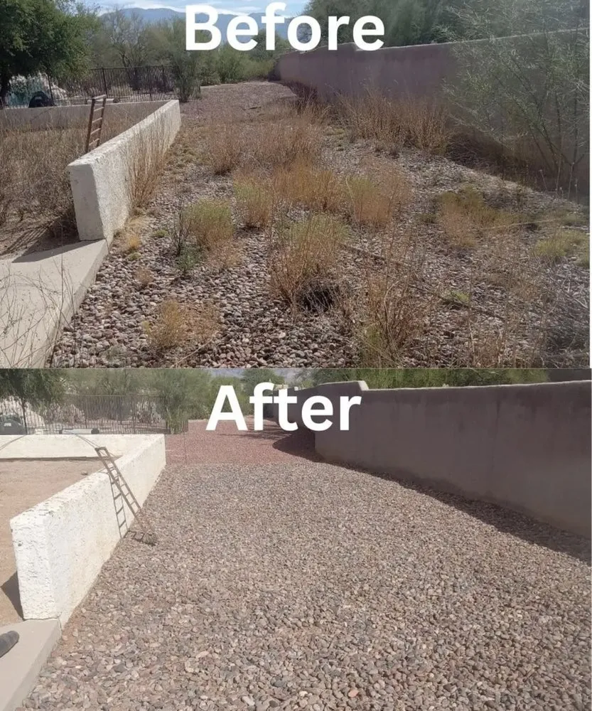 Top-rated garden landscaping experts serving Tucson, AZ - Jorge Landscaping & Hauling Services