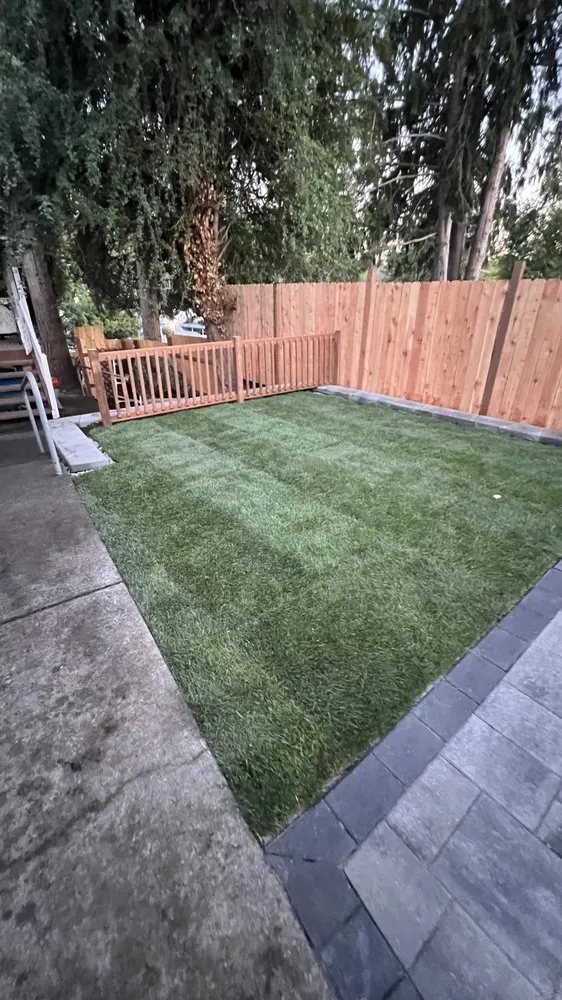 Reliable yard cleanup service in Belfair, WA - Jorge Landscaping & Tree Services