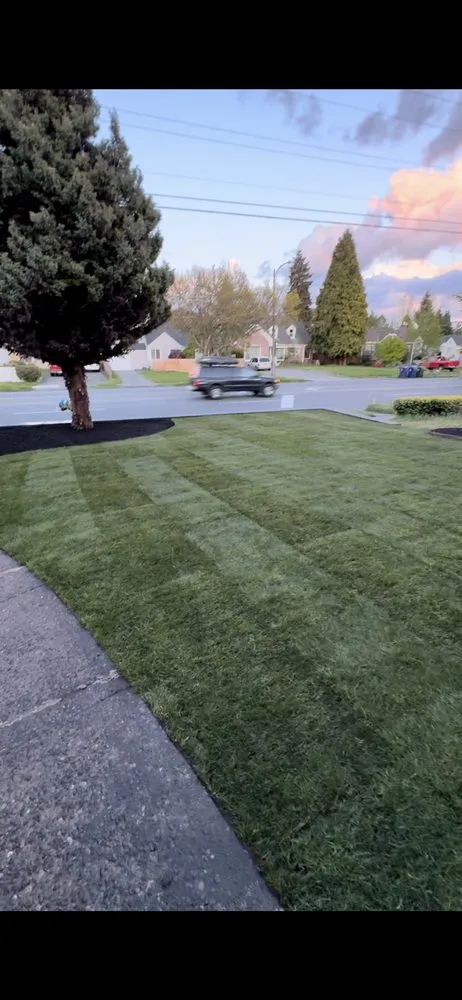 Affordable garden landscaping for beautiful yards across Belfair, WA - Jorge Landscaping & Tree Services