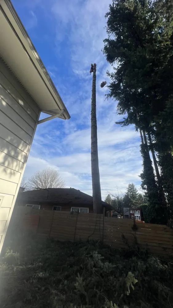 Custom garden landscaping for homes across Belfair, WA - Jorge Landscaping & Tree Services