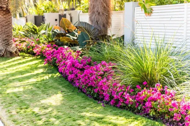 Affordable landscape installation with custom design across Atlantis, FL - Jorge Landscaping