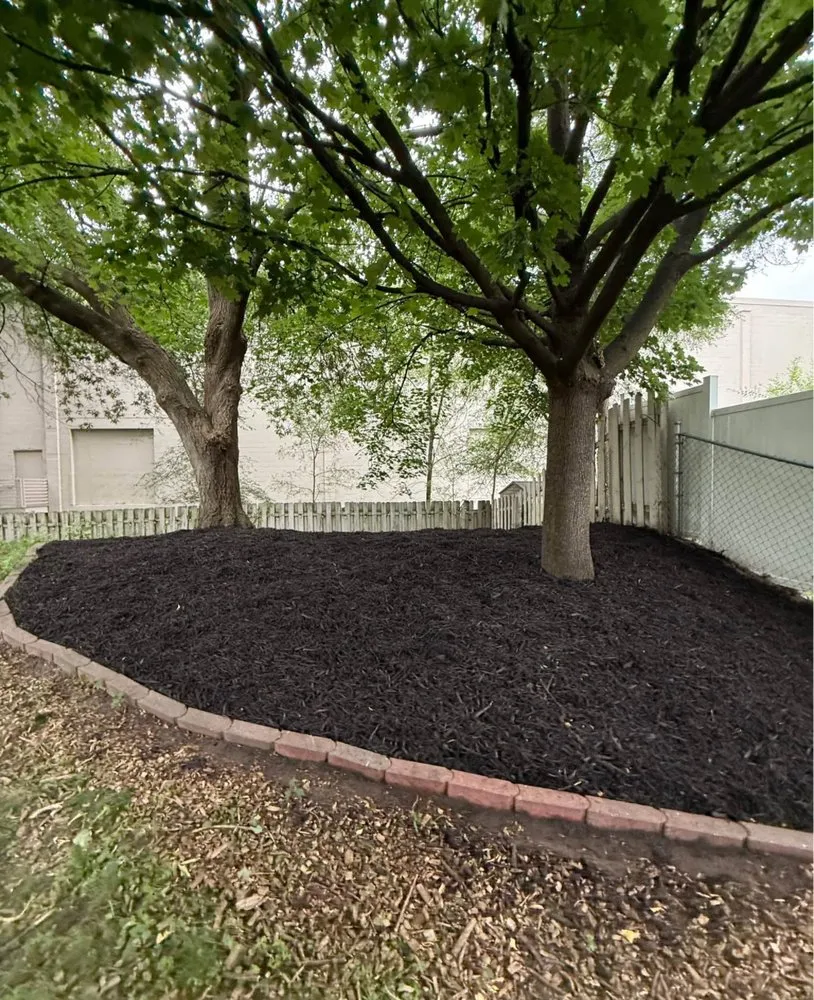 Expert residential landscaping in Minneapolis, MN - Jorge Landscaping Maintenance Garden
