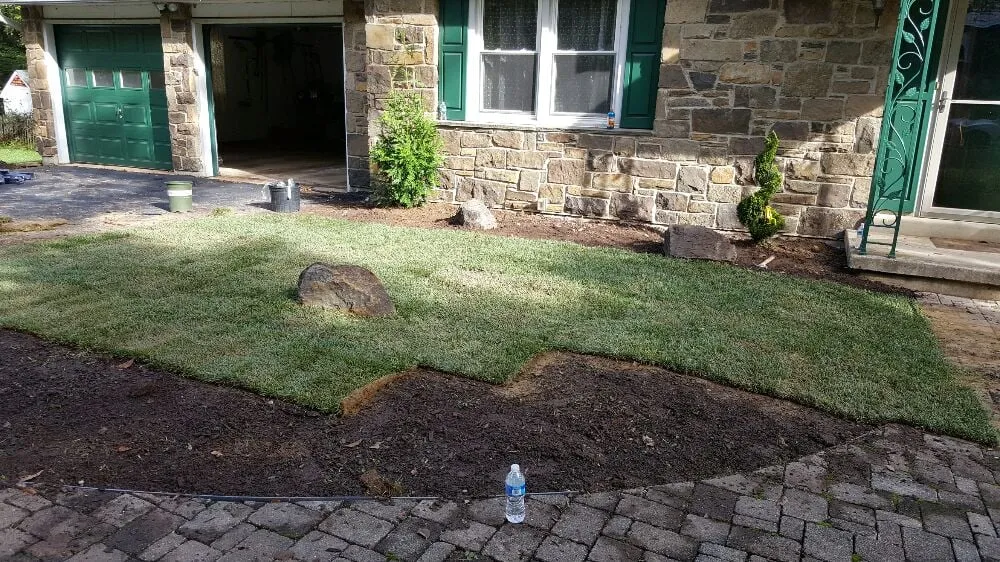 Local yard cleanup service for beautiful yards across Penns Grove, NJ - Jorge Landscaping