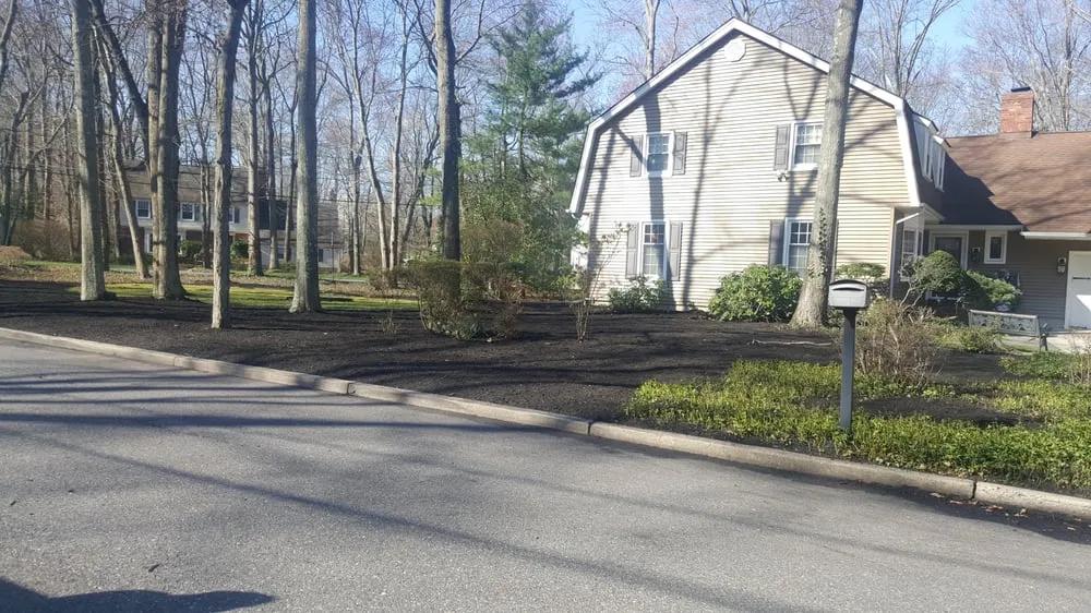 Reliable landscape design in Penns Grove, NJ - Jorge Landscaping