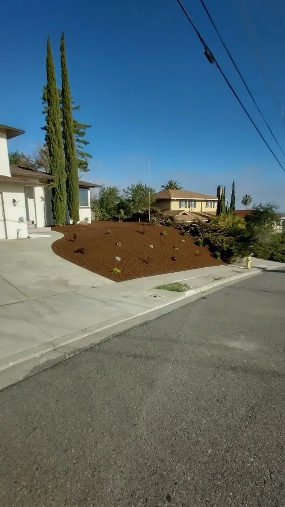 Reliable landscaping services with custom design in Pittsburg, CA by Jorge Landscaping