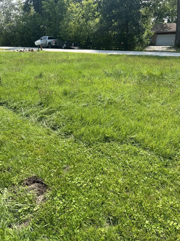 Affordable residential landscaping near you in Streamwood, IL by Jorge Landscaping