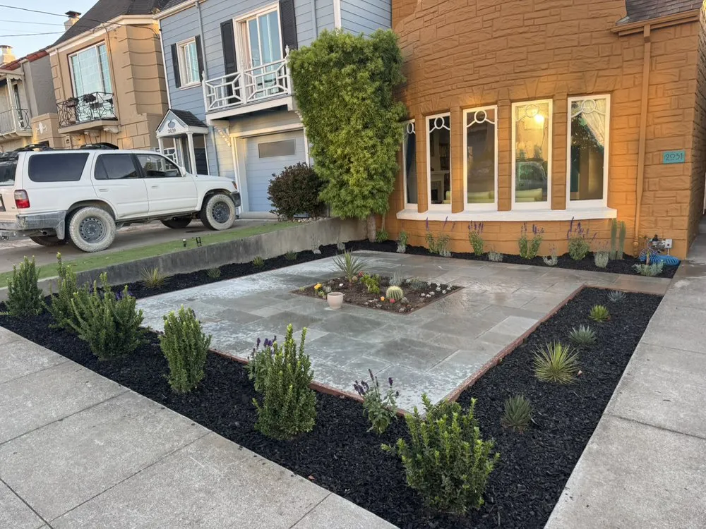 Professional yard maintenance in San Mateo, CA - Jorge Landscaping y Garden