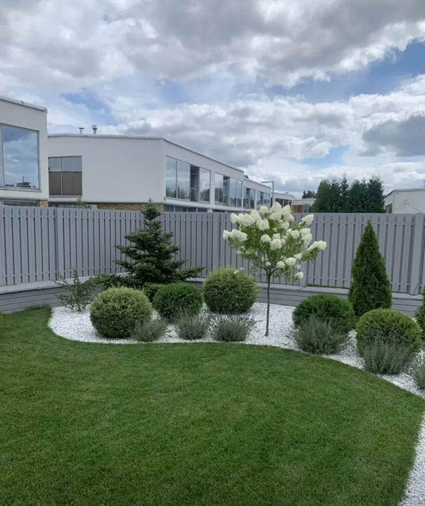 Professional yard cleanup service in San Mateo, CA by Jorge Landscaping y Garden