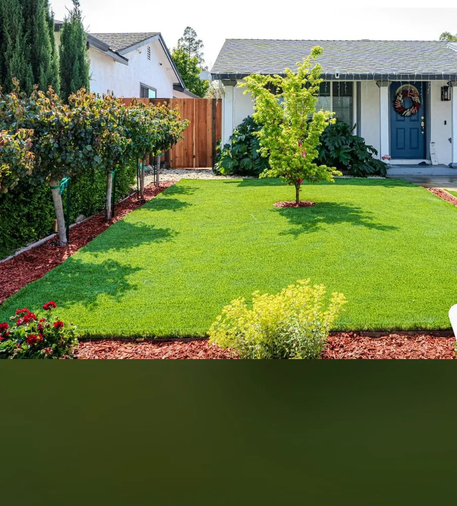 Top-rated outdoor landscaping in San Mateo, CA - Jorge Landscaping y Garden