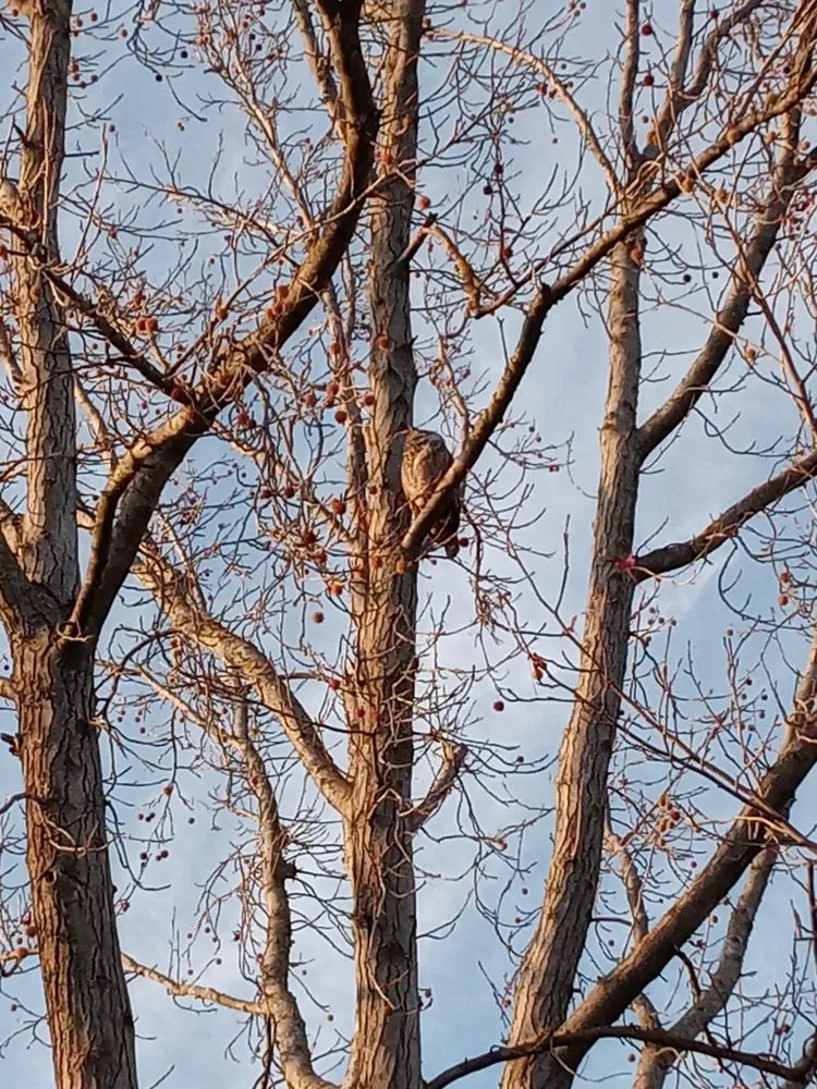 Professional landscaping services experts serving Tracy, CA - Jorge Lawn Care