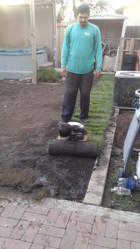 Expert yard maintenance experts serving Tracy, CA - Jorge Lawn Care