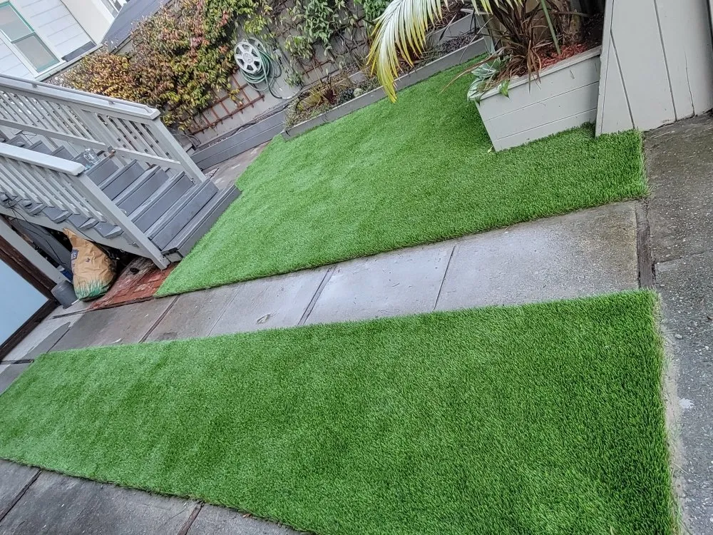 Expert lawn care service in East Palo Alto, CA by Jorge Lopez Professional Landscaping Services