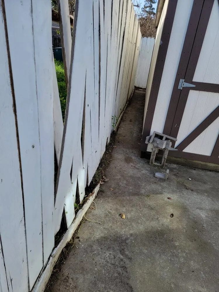 Reliable yard maintenance in East Palo Alto, CA - Jorge Lopez Professional Landscaping Services