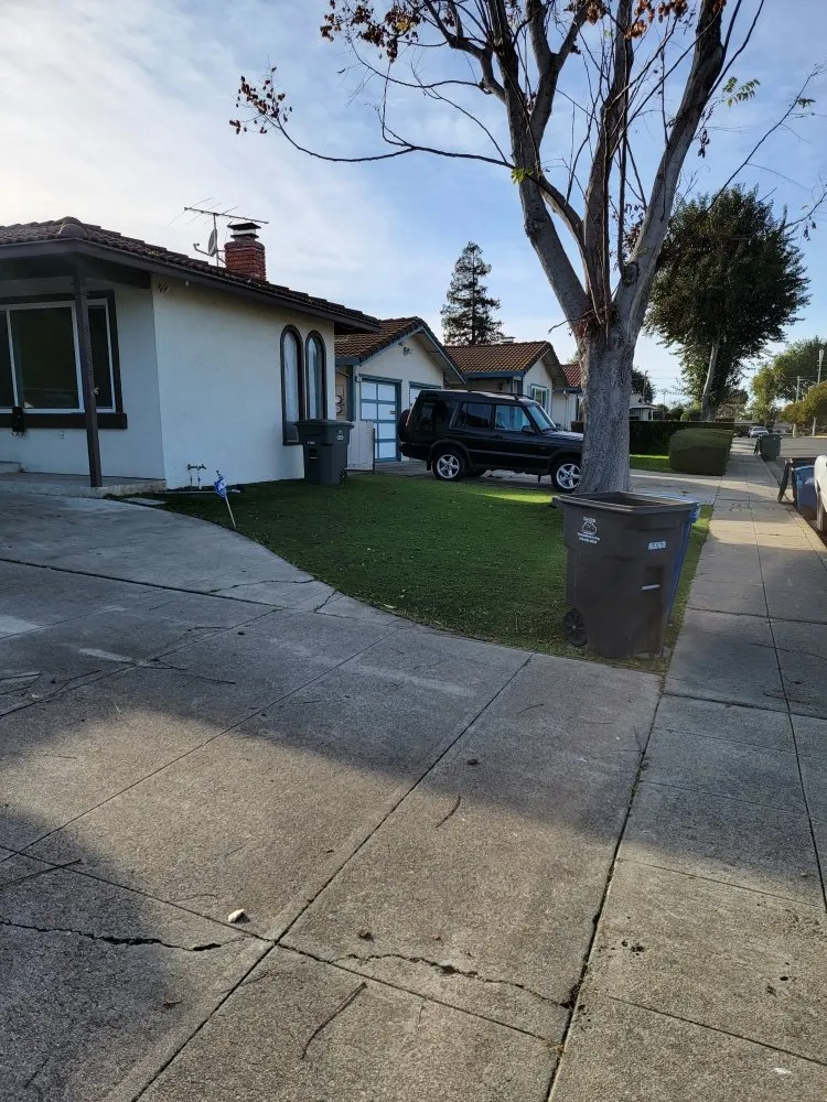 Reliable lawn care service in East Palo Alto, CA by Jorge Lopez Professional Landscaping Services