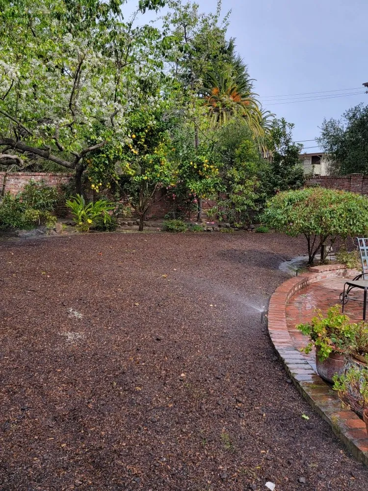 Expert residential landscaping in East Palo Alto, CA by Jorge Lopez Professional Landscaping Services