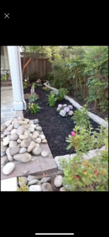 Professional yard cleanup service for homes in Firebaugh, CA by Jorge López Landscaping