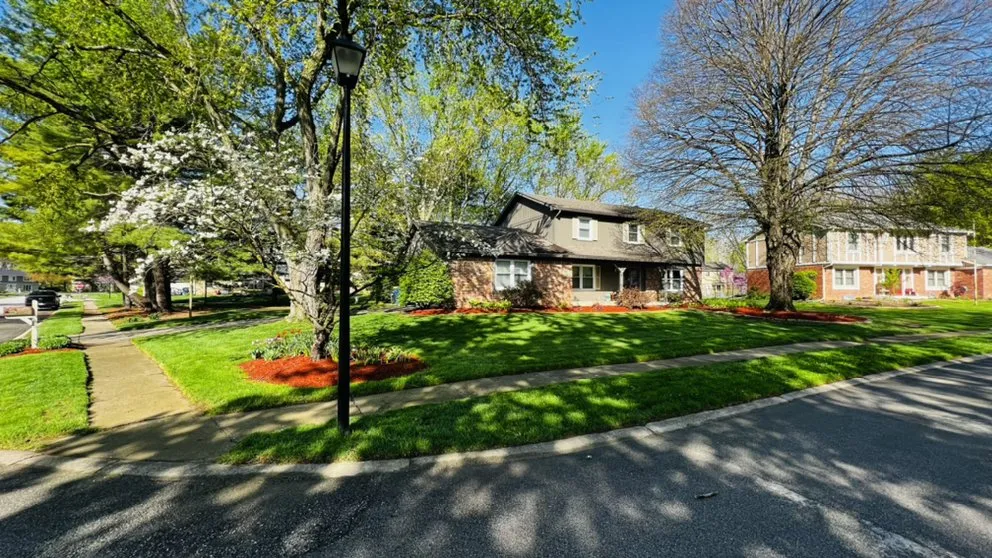 Local yard cleanup service in Westfield, IN by Jorge Sanchez