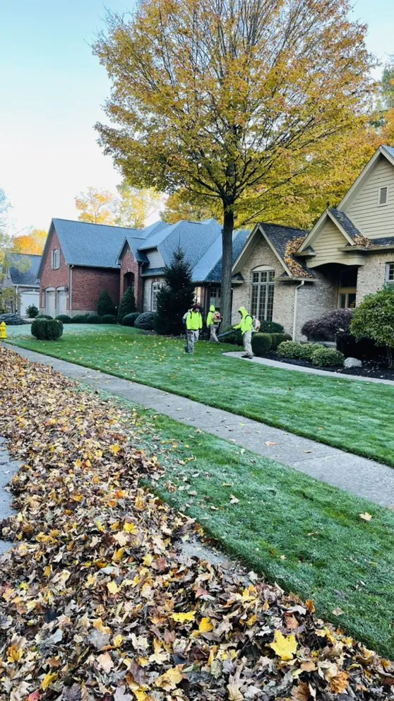 Top-rated landscaping services in Westfield, IN - Jorge Sanchez