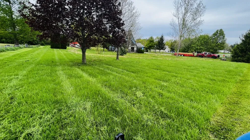 Expert garden landscaping in Westfield, IN - Jorge Sanchez