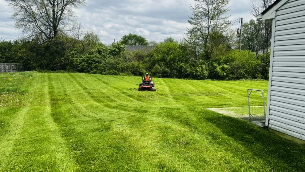 Professional yard cleanup service for beautiful yards in Westfield, IN by Jorge Sanchez