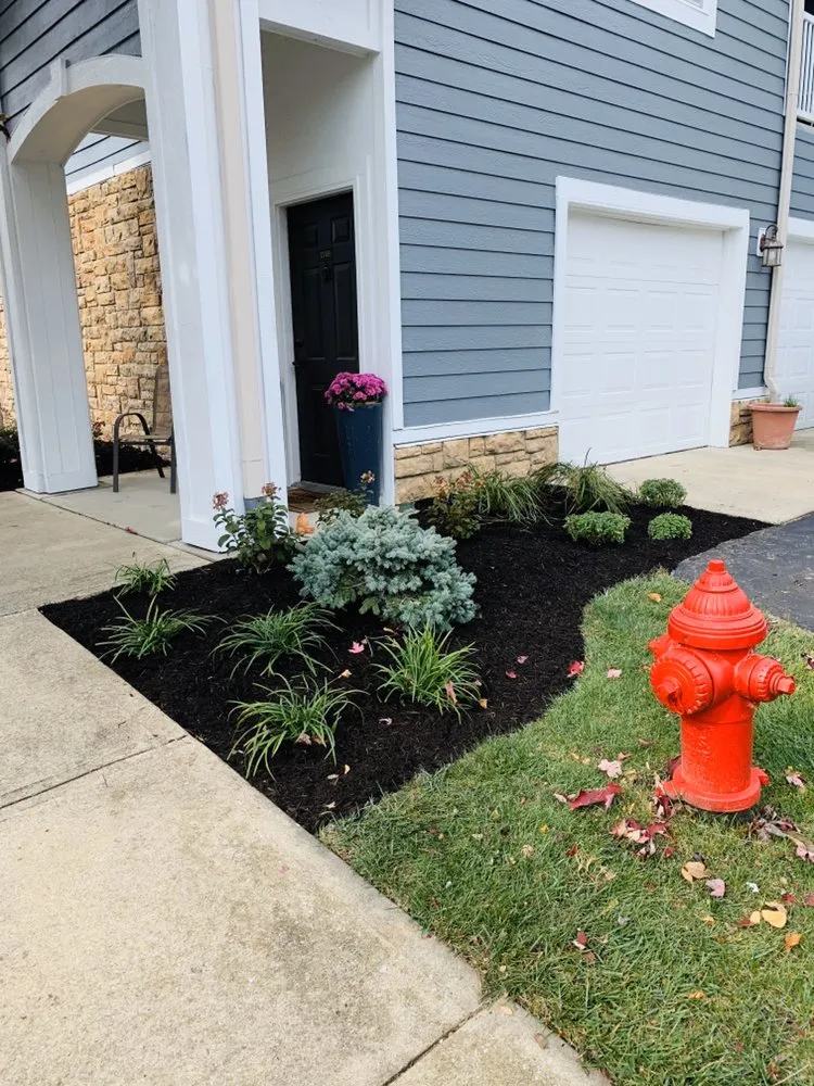 Expert yard maintenance in Westfield, IN by Jorge Sanchez