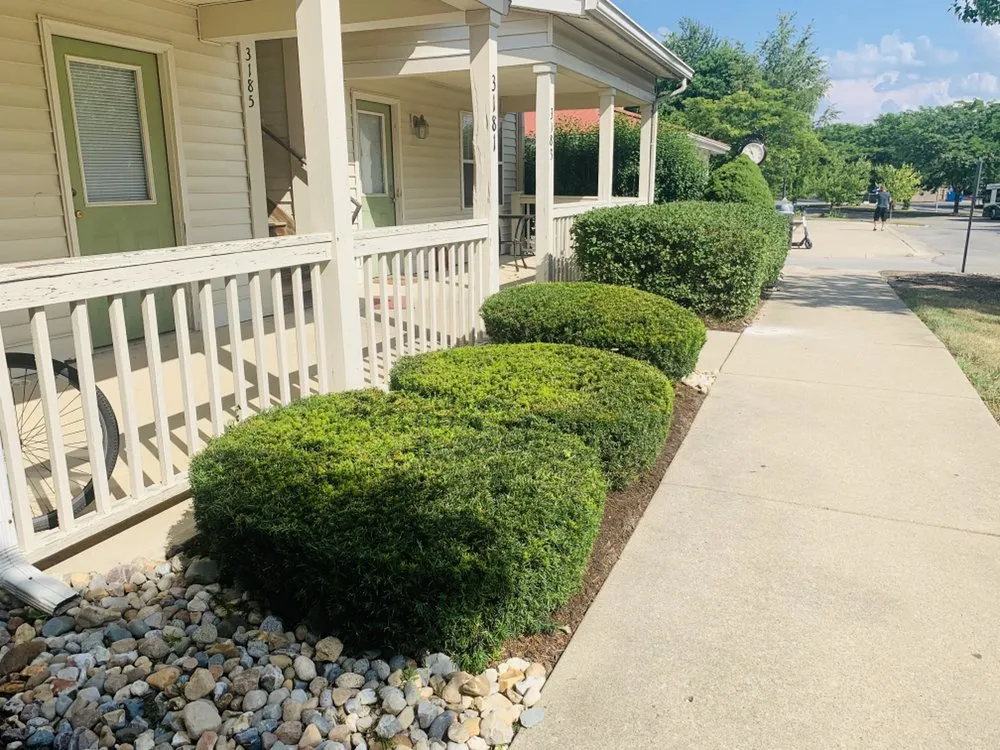 Affordable yard maintenance in Westfield, IN by Jorge Sanchez