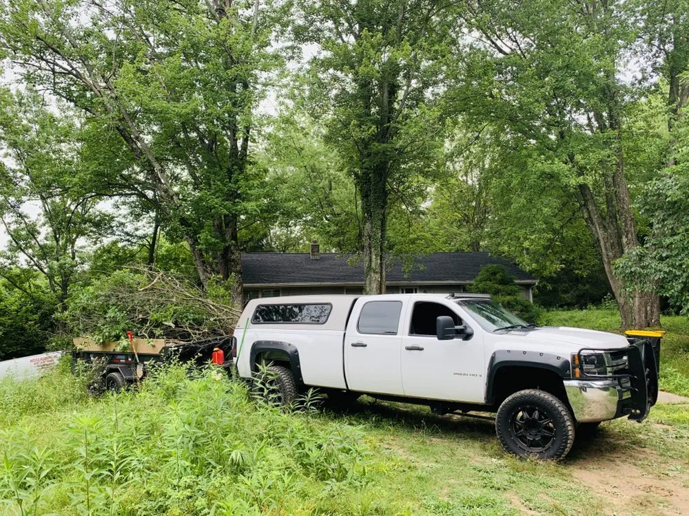 Top-rated yard maintenance experts serving Westfield, IN - Jorge Sanchez