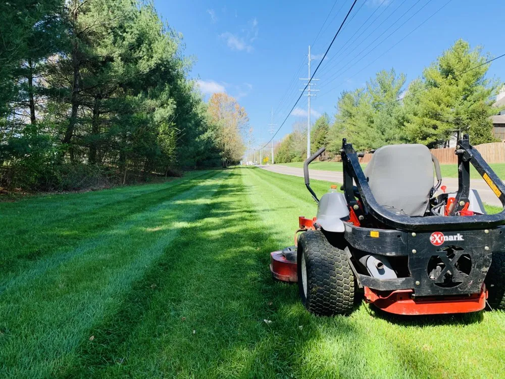 Custom yard cleanup service for beautiful yards across Westfield, IN - Jorge Sanchez
